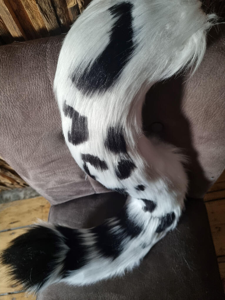 Leopard tail