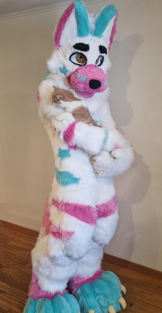 The cat was so cute and wanted to cuddle with me in my suit