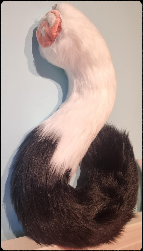 Ruvi tail