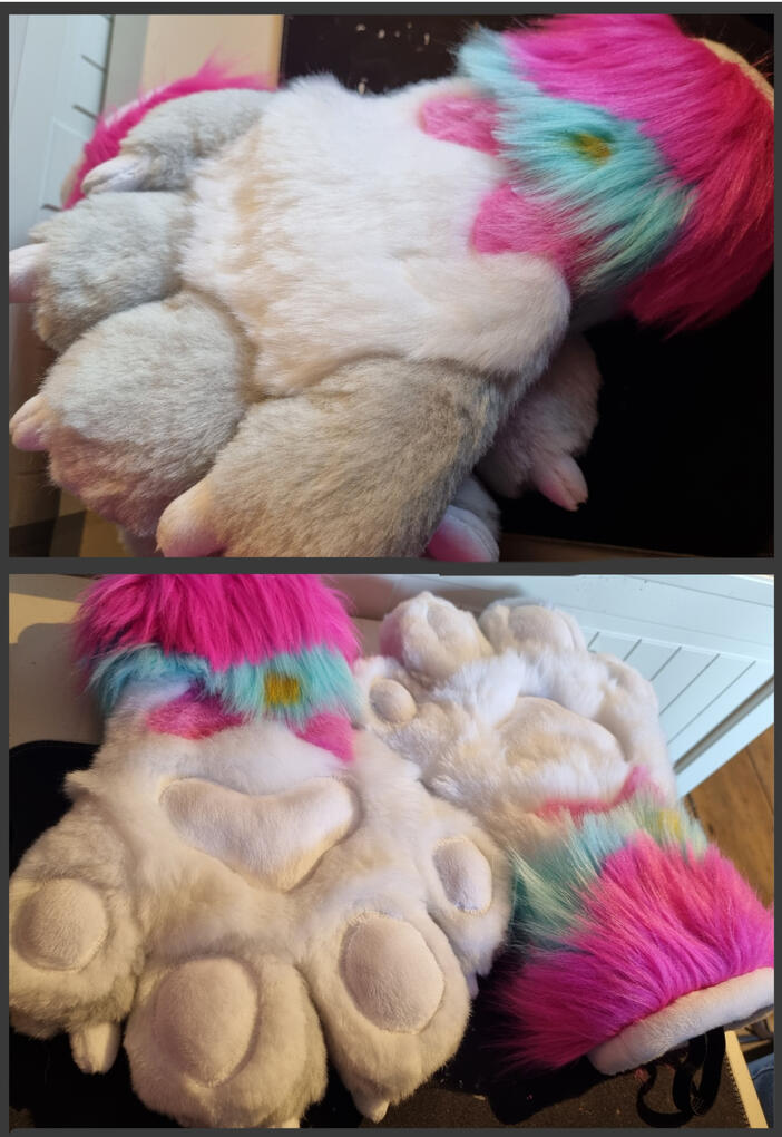 Tricolor hand paws 2